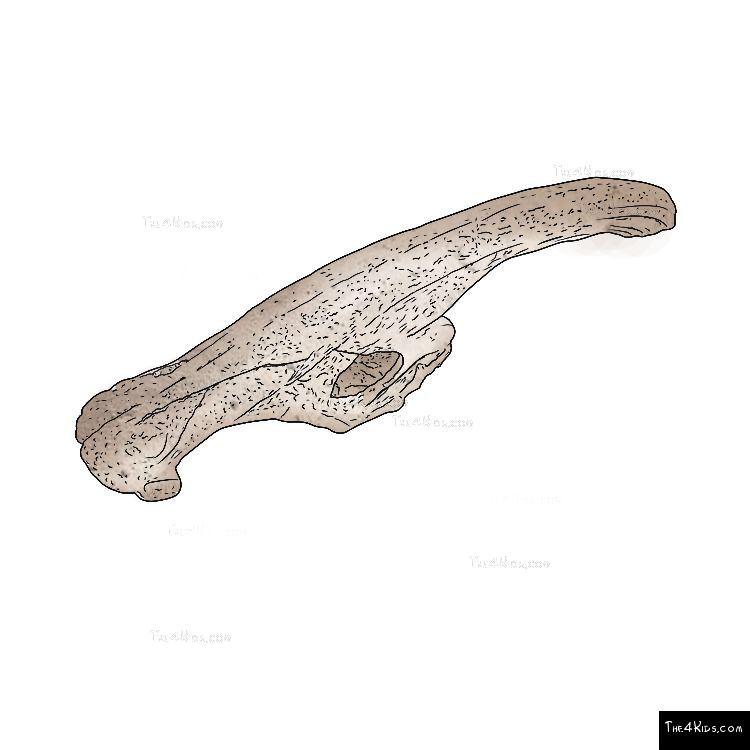 Image of Parasaurolophus Balance Beam