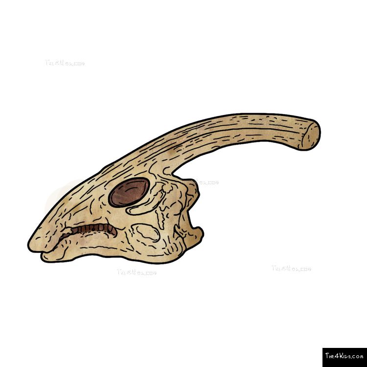 Image of Parasaurolophus Fossil Dig