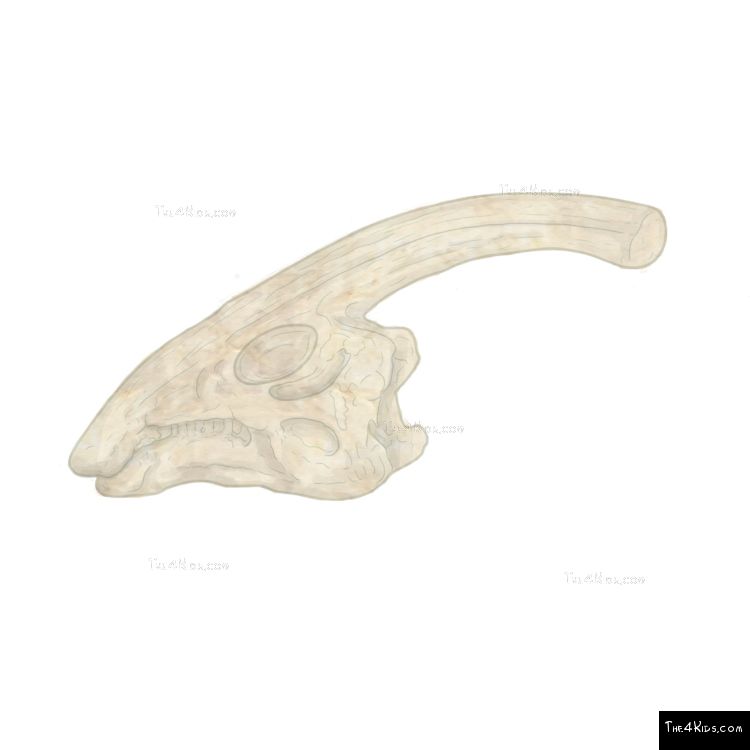 Image of Parasaurolophus Fossil Dig
