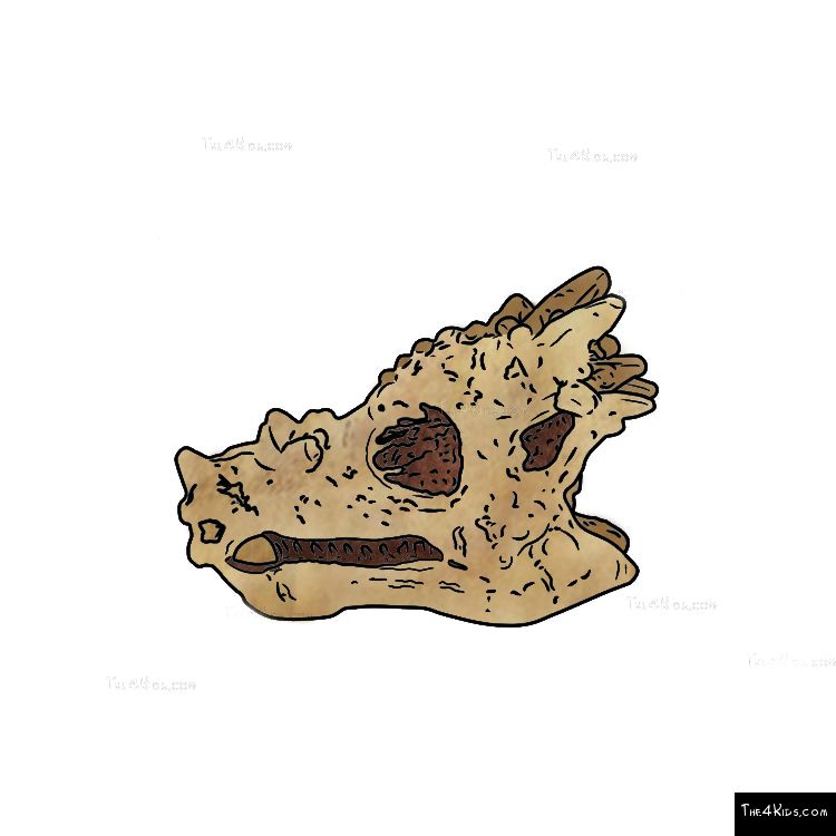 Image of Dragon Head Fossil Dig