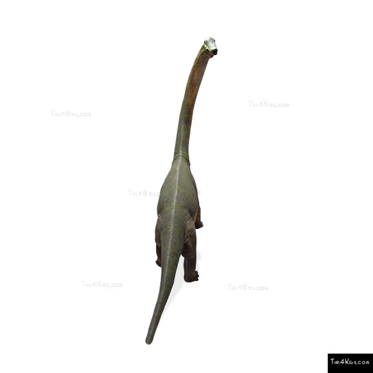 Image of Brachiosaurus with Twisted Neck