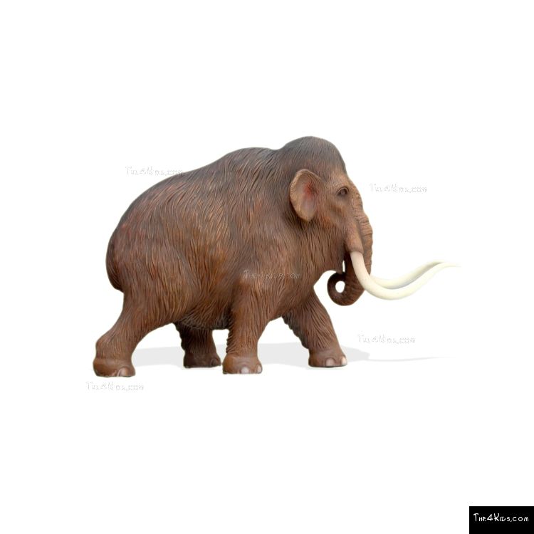 Image of Baby Mammoth