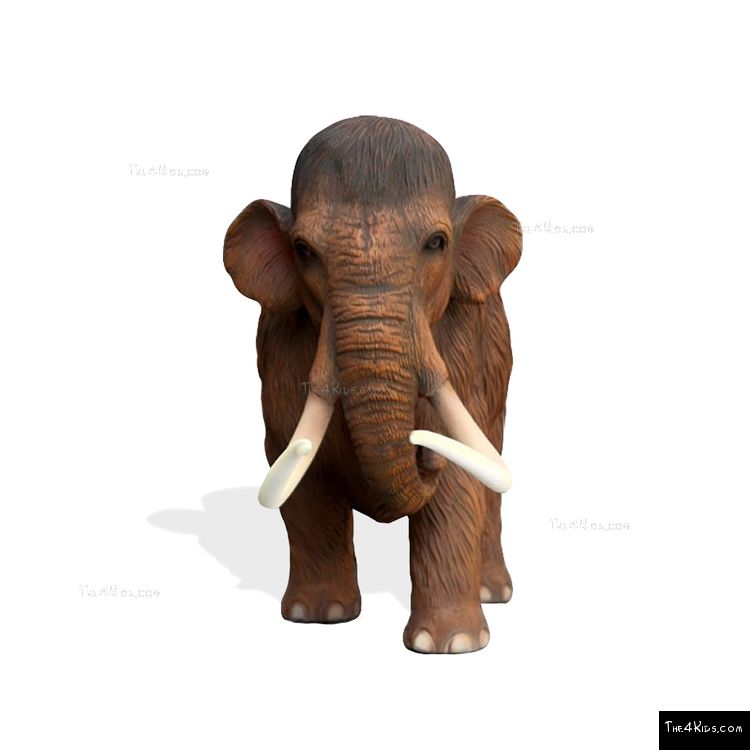 Image of Baby Mammoth
