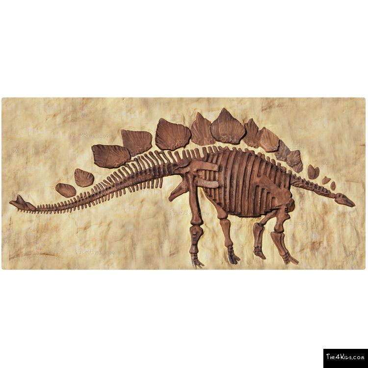 Image of Stegosaurus Panel