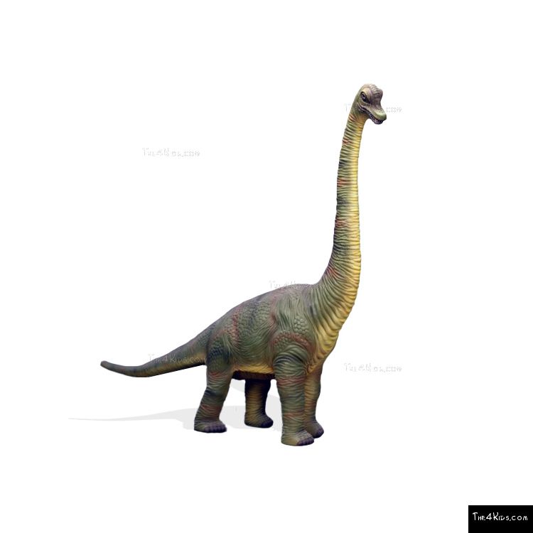 Image of 7ft Baby Brachiosaurus