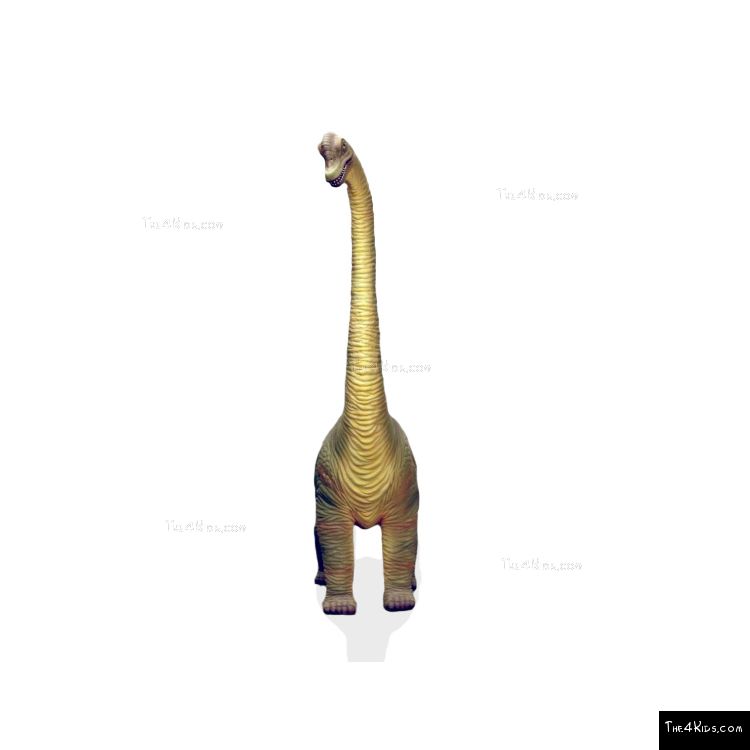 Image of 7ft Baby Brachiosaurus