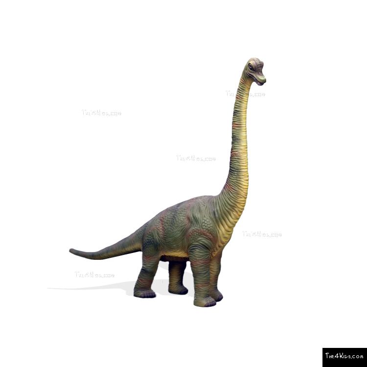 7ft Baby Brachiosaurus - The 4 Kids