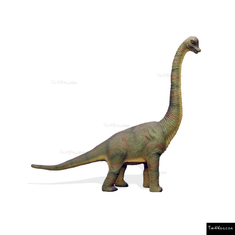 7ft Baby Brachiosaurus - The 4 Kids