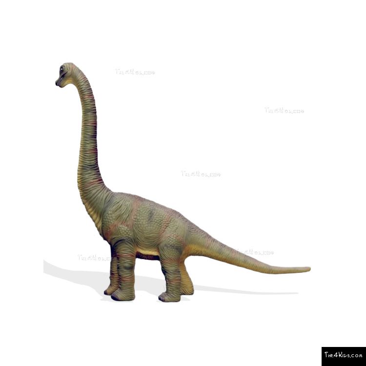 7ft Baby Brachiosaurus - The 4 Kids