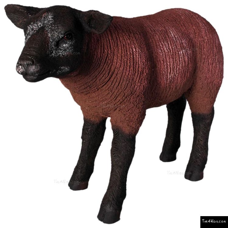 Image of Standing Lamb