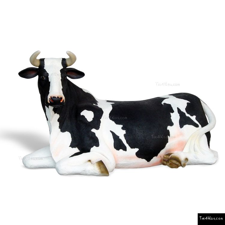 Image of Lying Holstein Cow