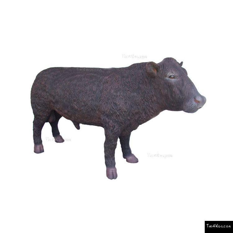 Image of Large Angus Bull