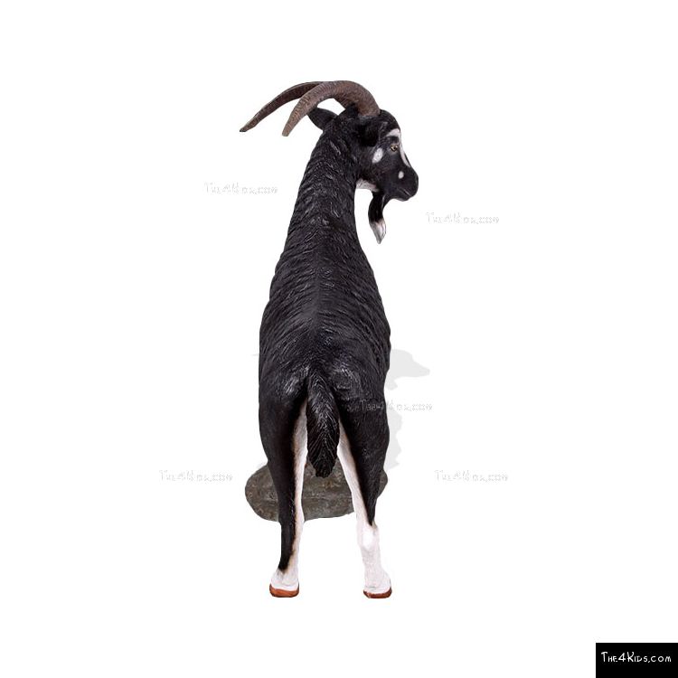Image of Mountain Goat Black