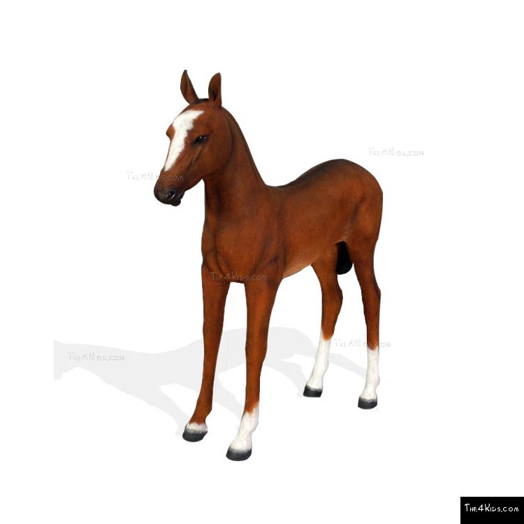 Image of Quarter Horse Foal 2