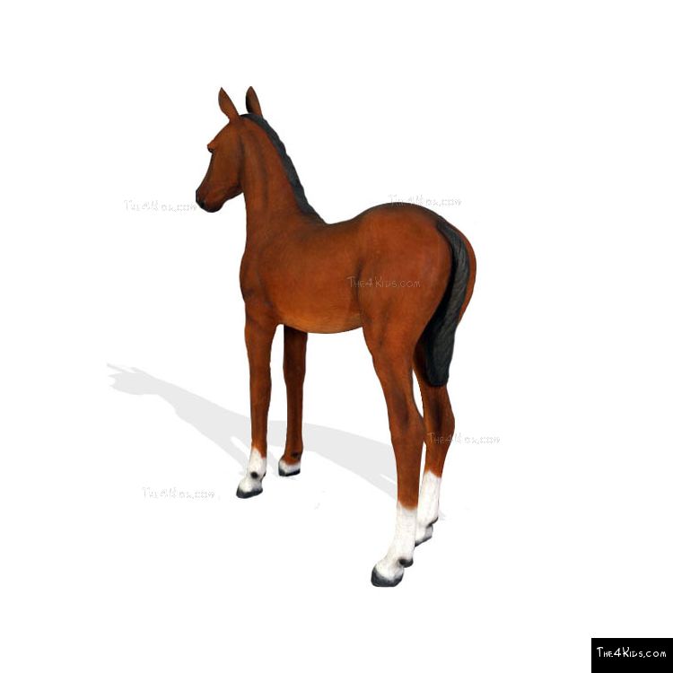 Image of Quarter Horse Foal 2