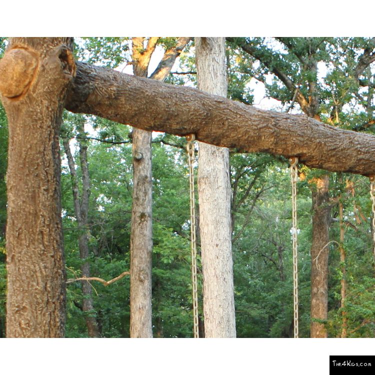 Image of Plank Swingset