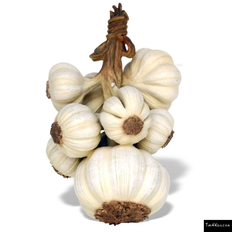 Image of Garlic Sculpture 2FT
