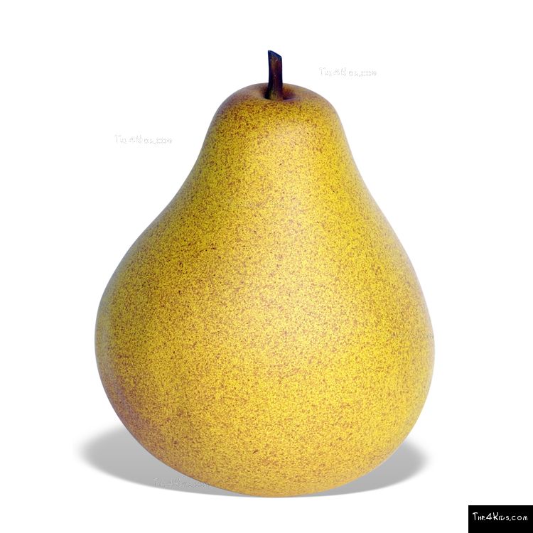 Image of Pear Sculpture