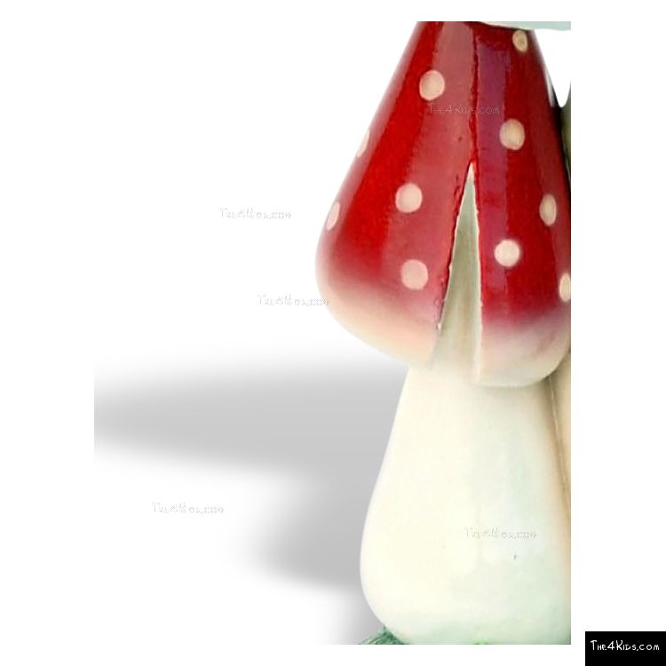 Image of Mushroom Climber