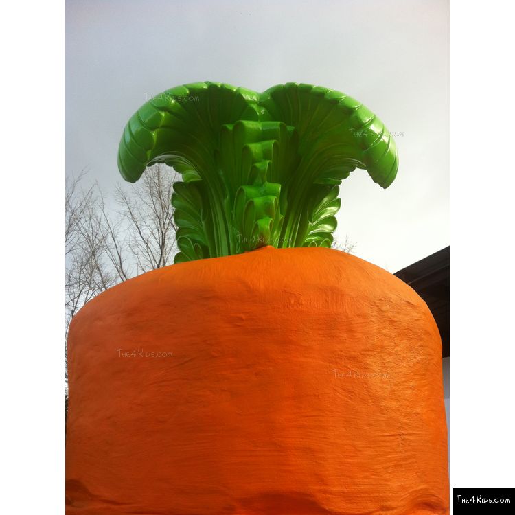 Image of Carrot Climber
