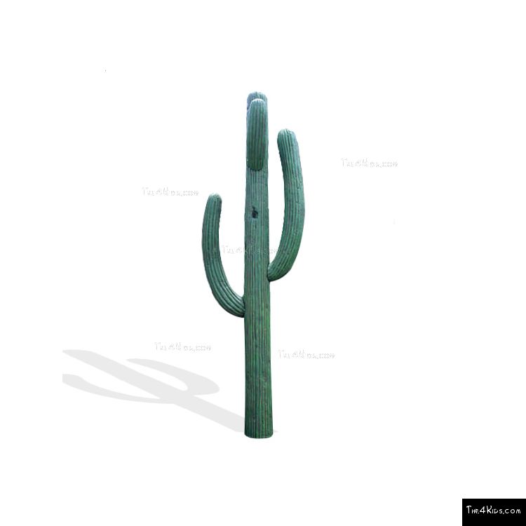 Image of 13ft Cactus