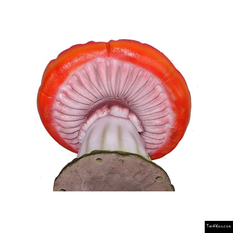 Image of Toadstool