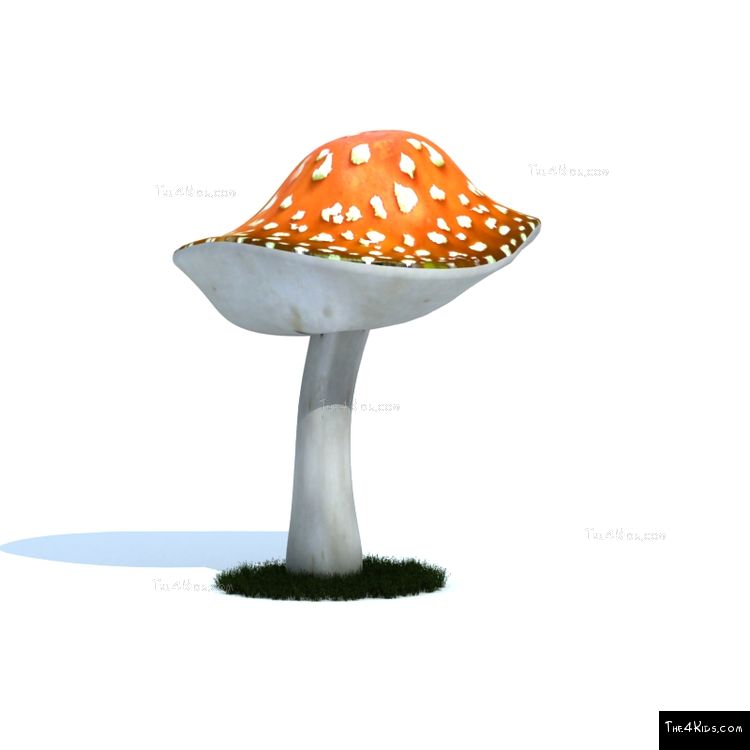 Image of 5ft Mushroom Canopy