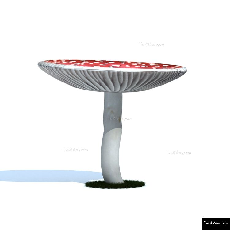 Image of 6ft Mushroom Canopy