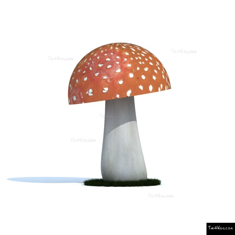 Image of 7ft Mushroom Canopy