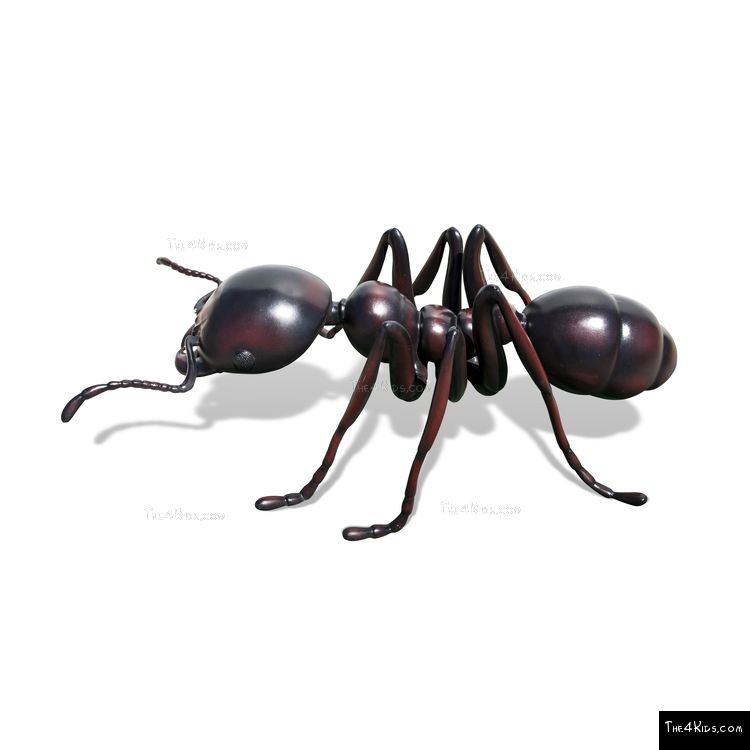 Image of Ant Sculpture
