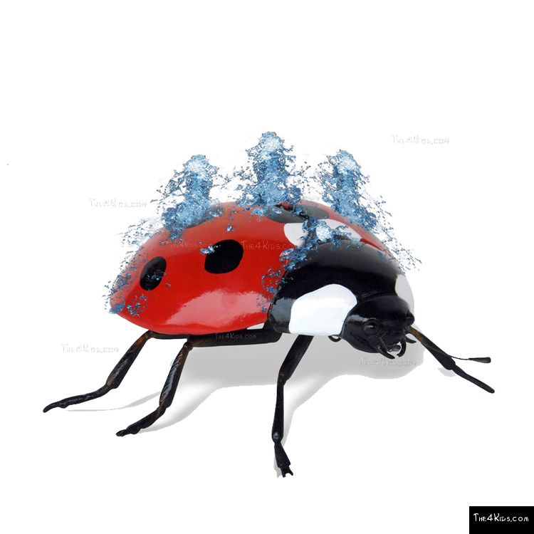 Image of Ladybug Sculpture