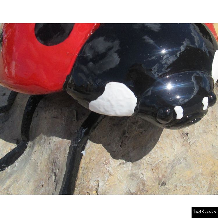 Image of Ladybug Climber