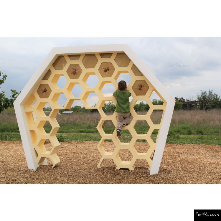 Image of Honeycomb Climber