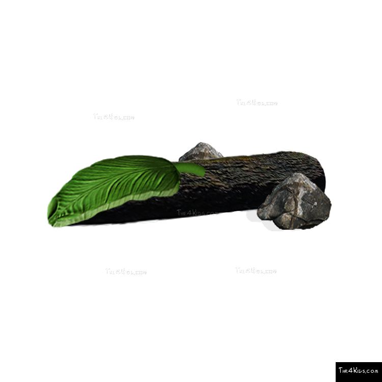 Image of Leaf Balance Log