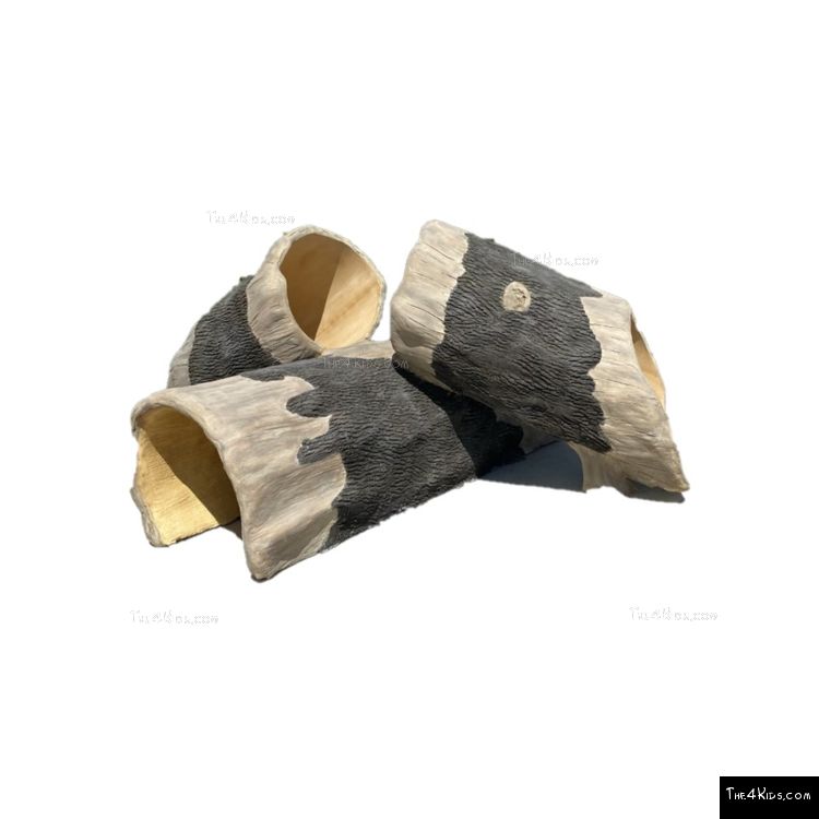 Image of Log Climber and Slide