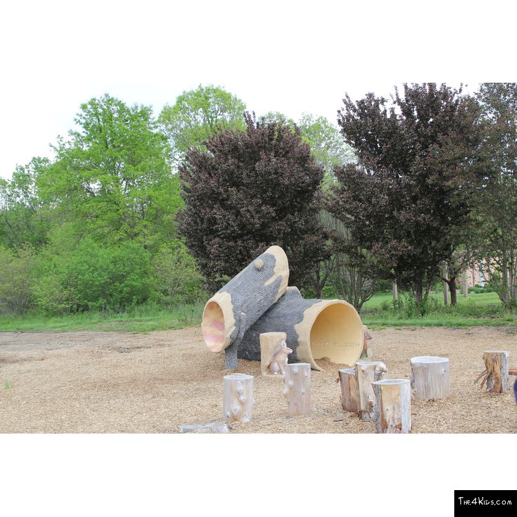 Image of Log Climber and Slide