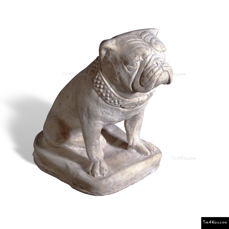 Image of Bulldog Statue
