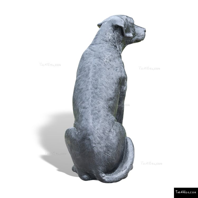 Image of Labrador Sitting
