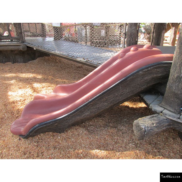 Image of Log Racing Slide