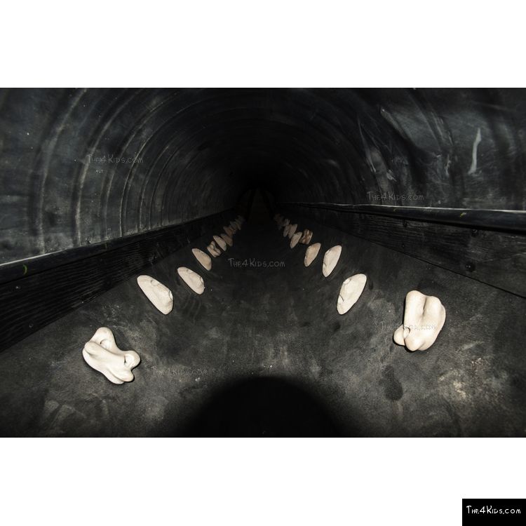 Image of Hollow Log Climbing Tube
