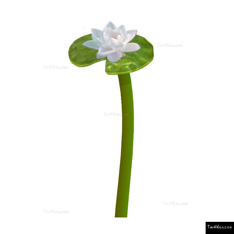 Image of Lily Pad Post Topper
