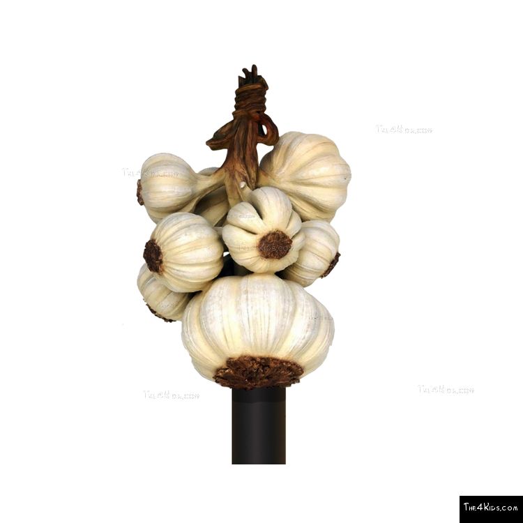 Image of Garlic Post Topper