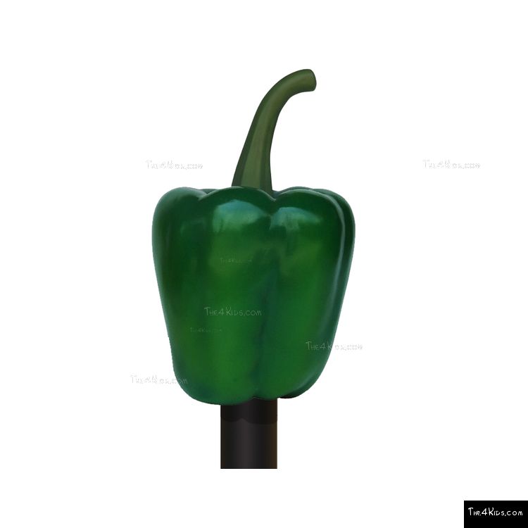 Image of Green Bell Pepper Post Topper