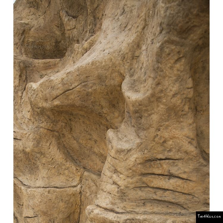 Image of Manzano Rock Climber