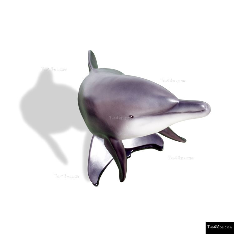 Image of Large Dolphin
