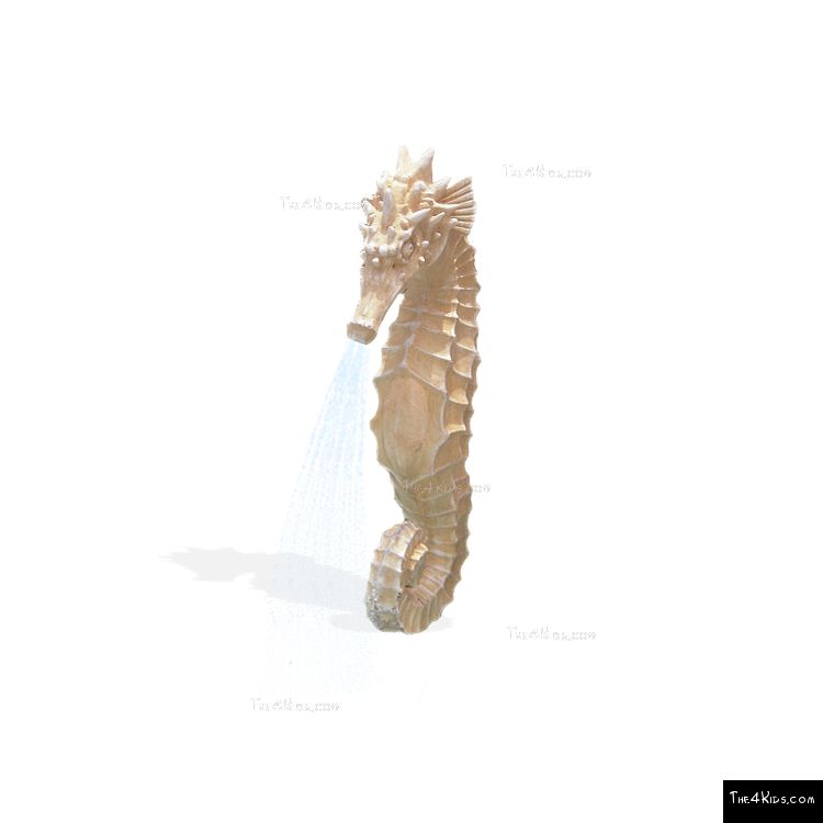 Image of Seahorse Water Fountain
