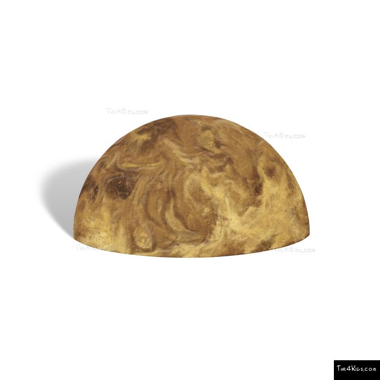 Image of Venus Space Sphere