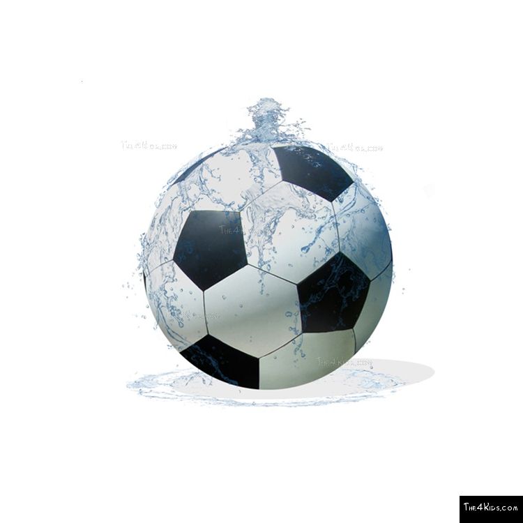 Image of Soccer Ball Bollards