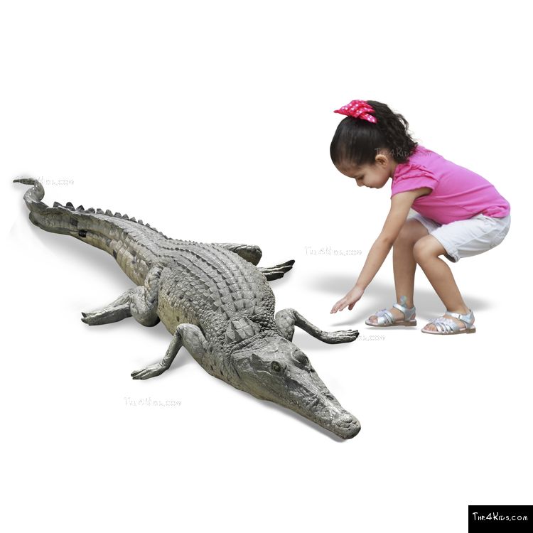 Image of 4ft Crocodile Play Sculpture