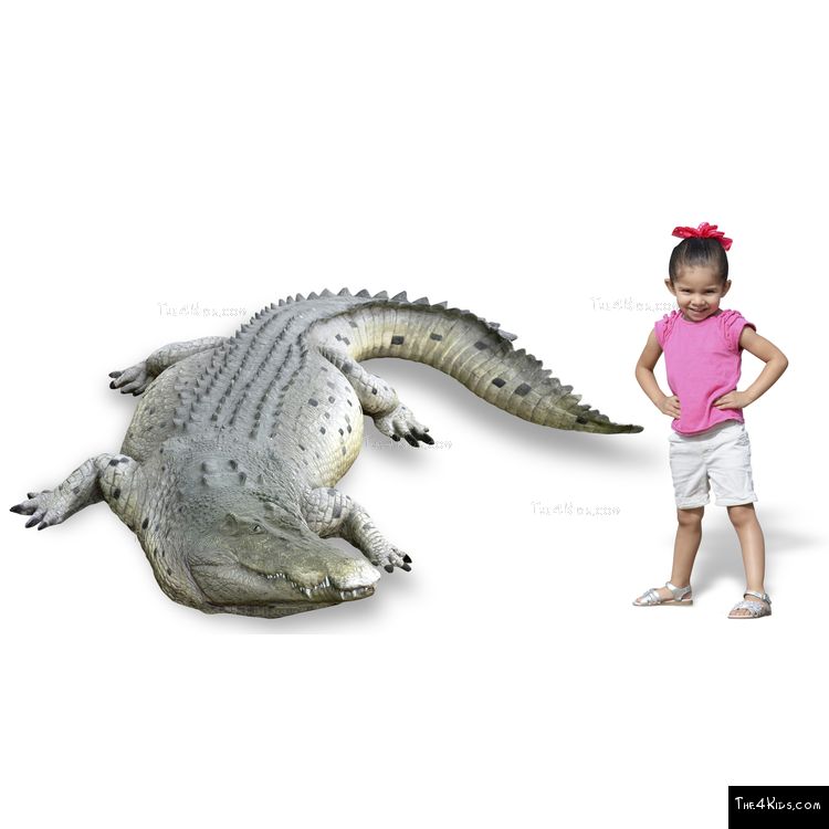 Image of 11ft Crocodile Play Sculpture